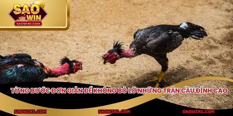 Từng bước đơn giản để không bỏ lỡ những trận cầu đỉnh cao