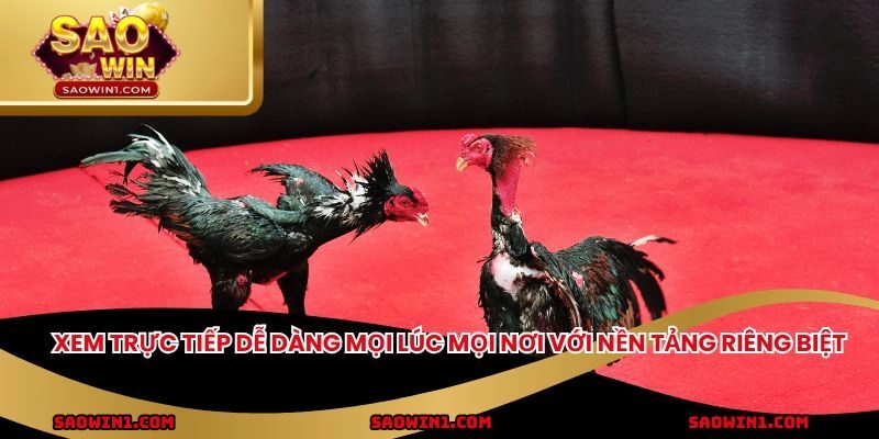 Xem trực tiếp dễ dàng mọi lúc mọi nơi với nền tảng riêng biệt